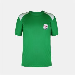 FIFA Kids Northern Ireland Short Sleeve T-Shirt Green