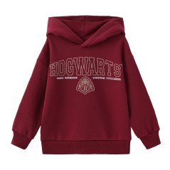 Character Character Fleece-Lined Hoodie Infant Hogwarts