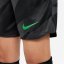 Nike Liverpool Goalkeeper Home Shorts 2023 2024 Juniors Black/Green