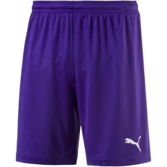 Puma (5) (Fb)Velize Short With Brief Juniors Purple