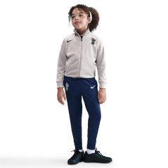 Nike Nike Thfc Lk Nk Df S In99 Lt Iron Ore/B