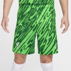 Nike Liverpool Goalkeeper Shorts 2024 2025 Adults Green Spark