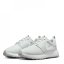 Nike Roshe 2G Golf Shoes Photon Dust/White