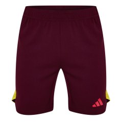 adidas Tiro 23 Pro Goalkeeper Shorts Juniors Maroon/Yellow