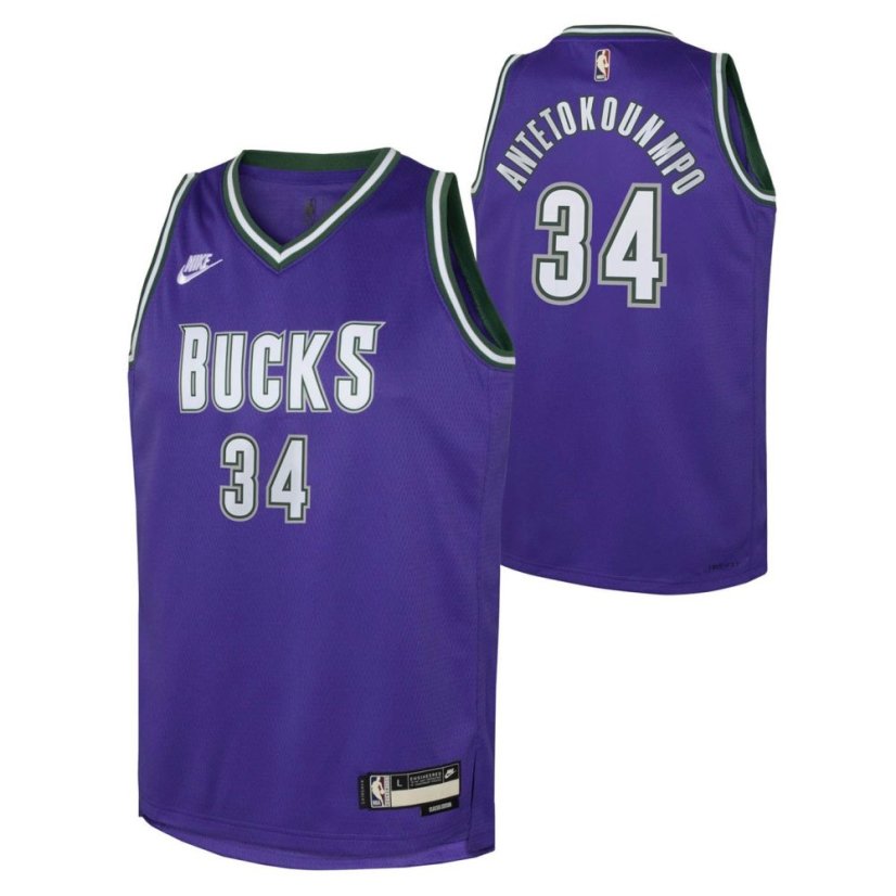 Nike Milwaukee Bucks Antetokounmpo #34 Jersey Purple