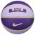 Nike Lebron All-Court Basketball Hydrangeas/Celestial Gold/Purp