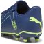 Puma Future Play.4 Firm Ground Football Boots Blue/Green
