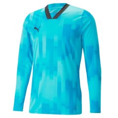 Puma TeamTarget Goalkeeper Long Sleeves Jersey Blue