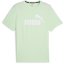 Puma 2 Col Logo Tee Mint