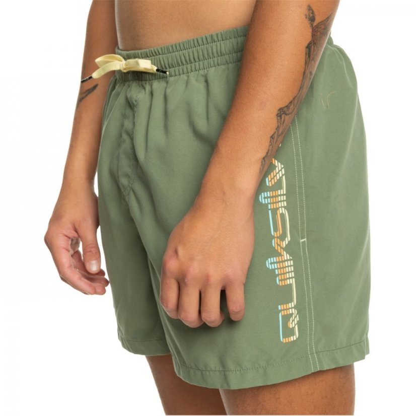 Quiksilver Everyday Volley Swim Shorts Four Leaf