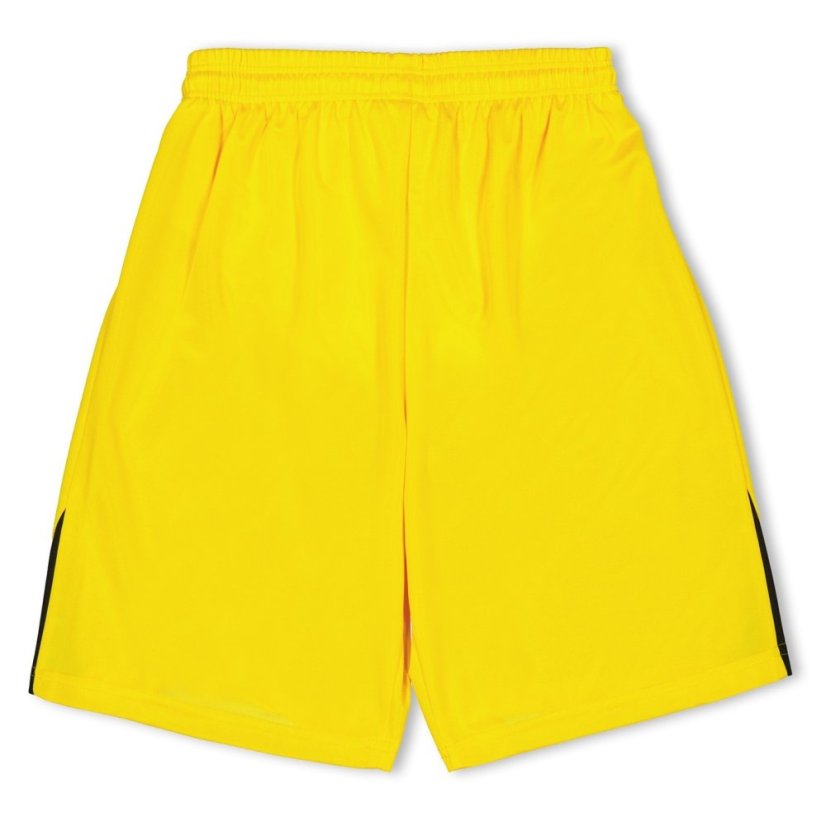 Puma (F3) Fb Team Shorts With Brief Juniors Yellow
