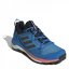 adidas Terrex Skychaser Gore-Tex 2.0 Hiking Shoes Blurus/Gresix