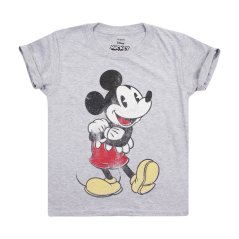 Disney Regular Fit T-Shirt Grey