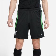 Nike Liverpool Strike Shorts 2023 2024 Adults Black/Green