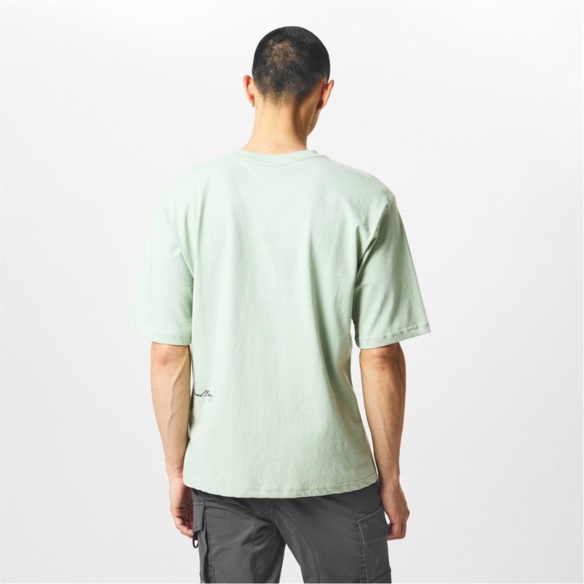Criminal Damage CD ECO Essentials T-Shirt Light Sage