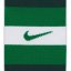 Nike Nigeria Home Football Socks 2022 Green