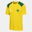 FIFA Kids' International Licensed Short Sleeve T-Shirt Yellow