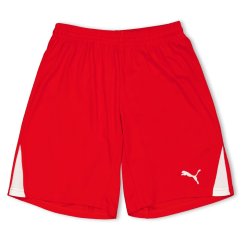Puma (F3) Fb Team Shorts With Brief Juniors Red