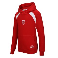 UEFA Denmark Hoody Juniors Denmark