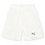 Puma (F3) Fb Team Shorts With Brief Juniors White