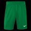 Nike Unisex Kids' Performance Gym Shorts Pine Green/Wht