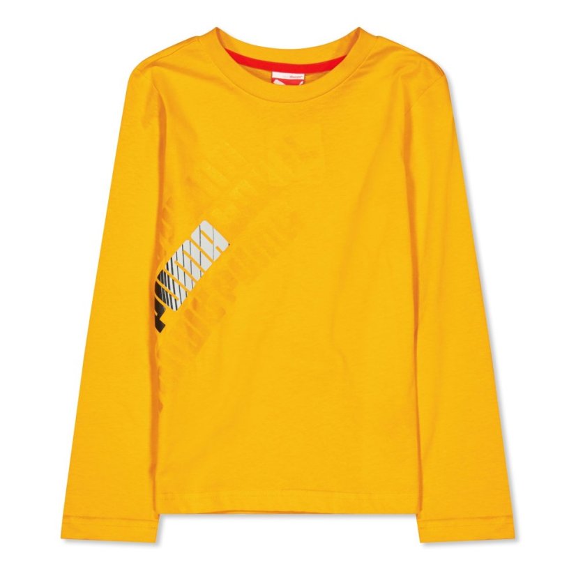 Puma Graphic Ls Tee Juniors Orange