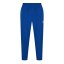 Castore Men's Closed Hem Fleece Joggers Surf The Web