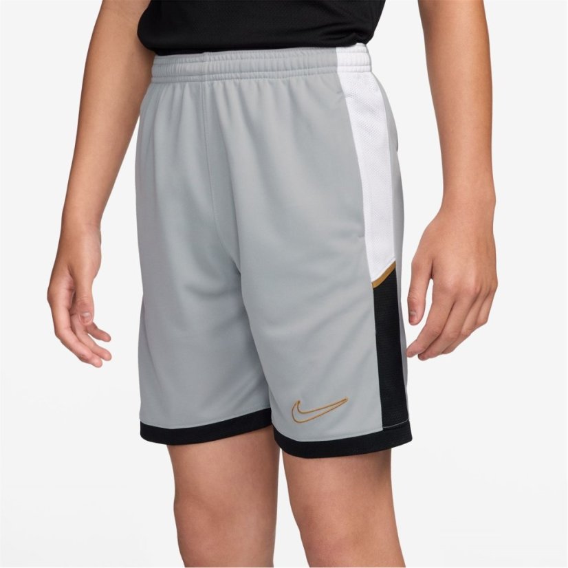 Nike Academy Shorts Juniors Grey/Gold
