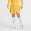 Nike France Goalkeeper Shorts 2024 Adults Tour Yellow