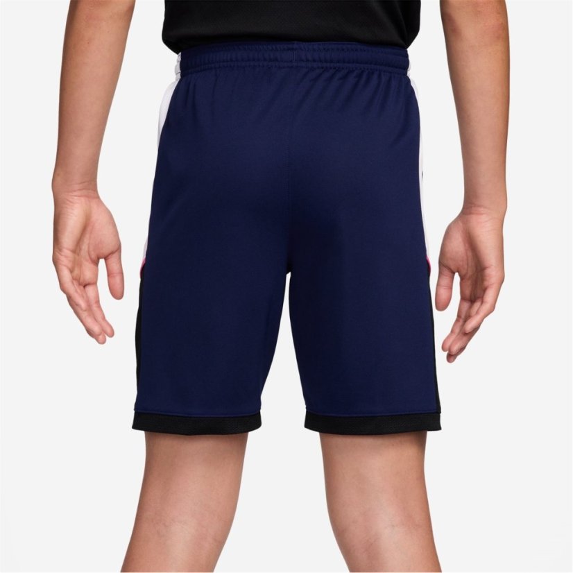Nike Academy Shorts Juniors Blue/Pink