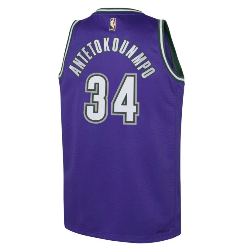 Nike Milwaukee Bucks Antetokounmpo #34 Jersey Purple