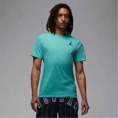Air Jordan Men's Small Logo Regular Fit T-Shirt Washed Teal