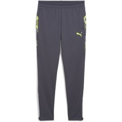 Puma Individualcup Training Pants Jr Tracksuit Bottom Unisex Kids Galactic Gra