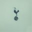 Nike Tottenham Hotspur Third Strike Shirt 2024 2025 Adults Green