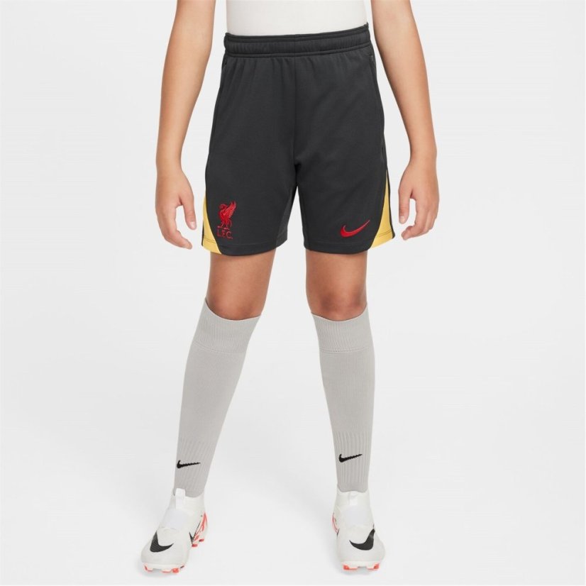 Nike Liverpool Strike Third Shorts 2024 2025 Juniors Grey