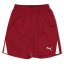 Puma (F3) Fb Team Shorts With Brief Juniors Red