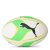 Puma Puma (16) Sa Graphic Rugby Ball Unisex Adults White