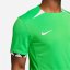 Nike Nigeria Home Shirt 2023 Adults Green