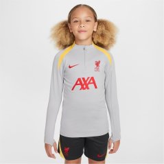 Nike Liverpool Strike Third Drill Top 2024 2025 Juniors Grey