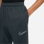 Nike Academy Winter Warrior Pant Seaweed/Lime