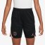 Nike Paris Saint-Germain Strike Third Shorts 2024 2025 Juniors Black