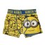 Character Single Boxer Infant Boys Minions
