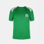 FIFA Kids Short Sleeve International Licensed T-Shirt Green