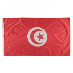 Official Flag Tunisia