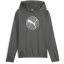 Puma Active Sports Poly Hoodie B Hoody Boys Grey