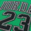 Air Jordan 23 Mesh Jersey Lucky Green