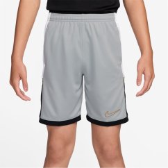 Nike Academy Shorts Juniors Grey/Gold