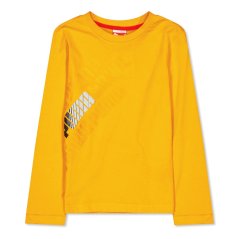 Puma Graphic Ls Tee Juniors Orange
