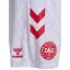 Hummel Denmark Home Shorts 2024 Adults White/Red