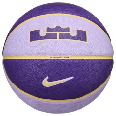 Nike Lebron All-Court Basketball Hydrangeas/Celestial Gold/Purp